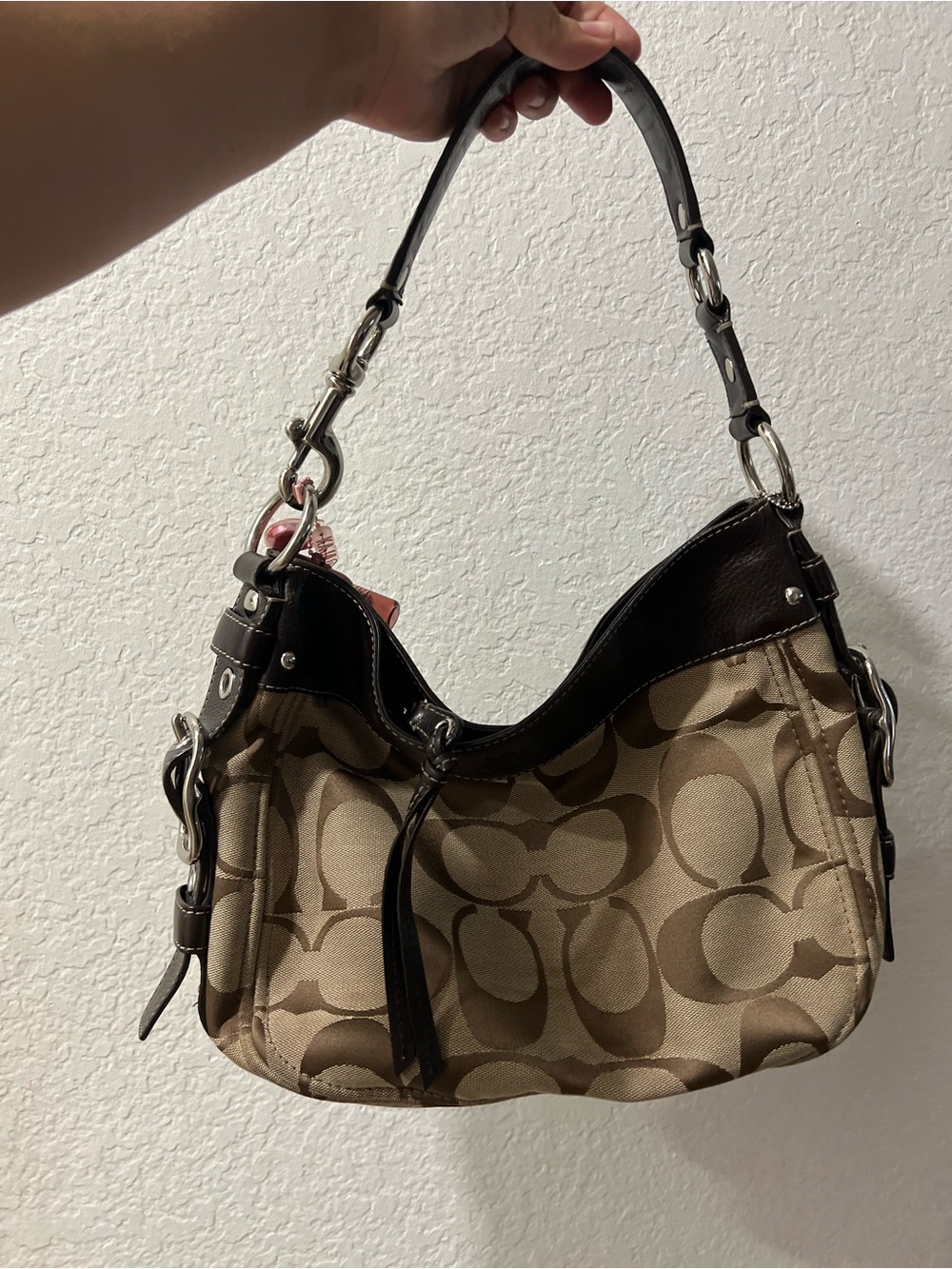 Coach Brown Signature Canvas Hobo with Chocolate Leather Trim